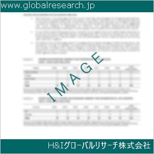 グローバルリサーチ調査資料のイメージ